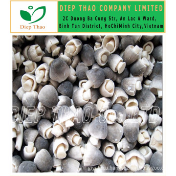 BEST QUALITY FROZEN STRAW MUSHROOM